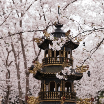 江西庐山5日4晚拼小团