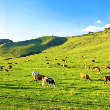 乌兰察布+乌兰哈达火山地质公园+乌兰布统旅游区+承德+草原天路6日5晚私家团