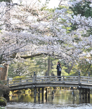 4天3晚 • 【名古屋都會・飛驒古韻・金澤雅境】夢幻童話白川鄉+懷舊風情高山市三町傳統建築保存區+傳統人文高山祭屋台會館