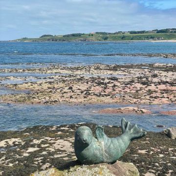 苏格兰+爱丁堡+圣安德鲁斯城堡+动感地球展示馆7日6晚私家团