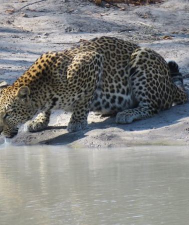 10D9N • 10 Day Northern Botswana & Victoria Falls WildCamping Expedition