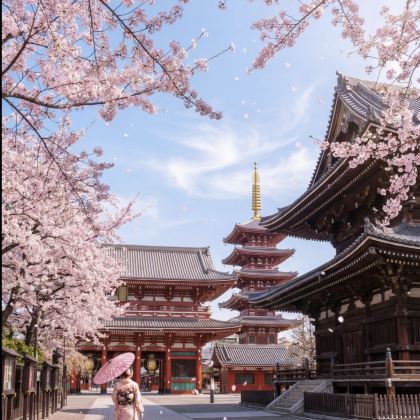 日本东京+箱根+热海市+伊豆市7日6晚自由行