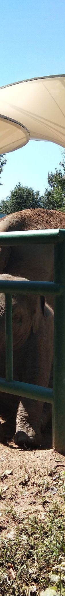 秦皇岛野生动物园-秦皇岛