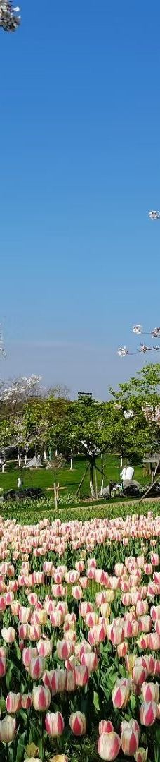 宁波植物园-宁波