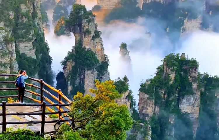 3-day 2-night · Private tours · Zhangjiajie + Wu Ling Yuan + The Yellow Dragon Cave + Zhangjiajie Grand Canyon + Tianmen Mountain National Forest Park · Enjoy professional scenic drone photography, and a seamless 2-night stay at Pullman Hotel. Explore the forest park with all cable cars & elevators included - 100% shopping-free, 100% pure enjoyment