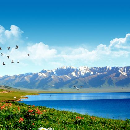 新疆北疆+喀纳斯景区+禾木风景区+赛里木湖8日7晚跟团游