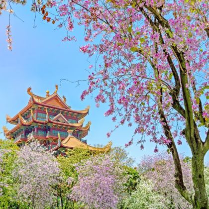 福州+莆田+湄洲岛6日5晚私家团