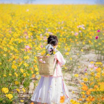 贵州贵阳+西江千户苗寨+荔波小七孔景区2日1晚跟团游