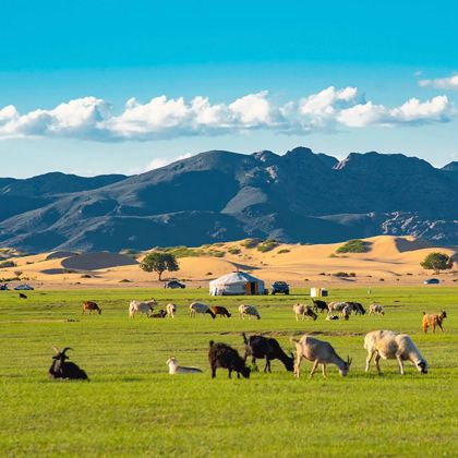 蒙古乌兰巴托+成吉思汗骑马雕像+特日勒吉国家公园+哈拉和林6日5晚自由行