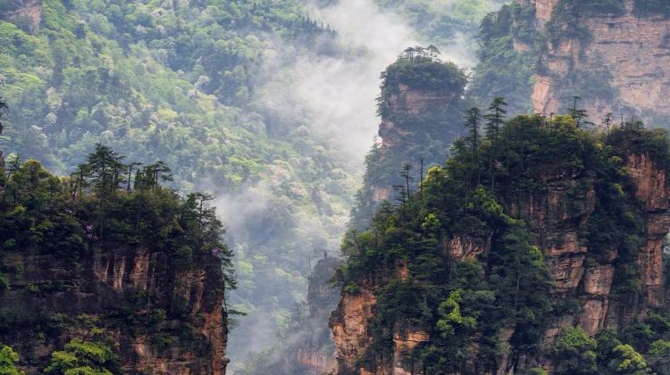 5D4N · Private Tours · Beat the summer heat in Zhangjiajie's cool forests. Enjoy private guided tours, water activities, and flexible vehicle upgrades for your group.