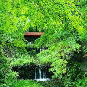 日本大阪+京都+东京10日9晚自由行