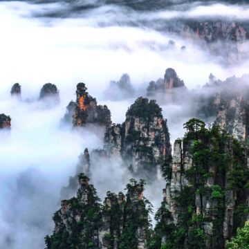 张家界+天门山+凤凰古城4日3晚跟团游