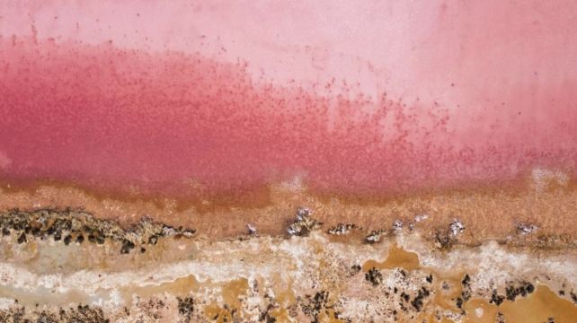 澳大利亞西澳大利亞珀斯6日5晚跟團遊·品質新玩法+接送機+粉紅湖/波浪巖/海角燈塔/尖峯石陣/自然之窗/小火車+特別安排+1整隻龍蝦特色餐+送白沙丘四驅衝沙+粉湖航拍+24H微信客服