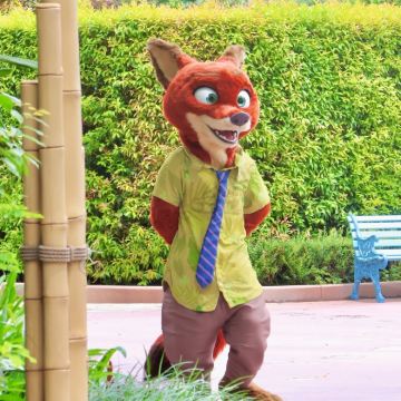 日本大阪+东京8日7晚拼小团