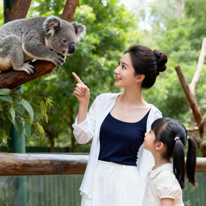 广州长隆+珠海长隆4日3晚自由行