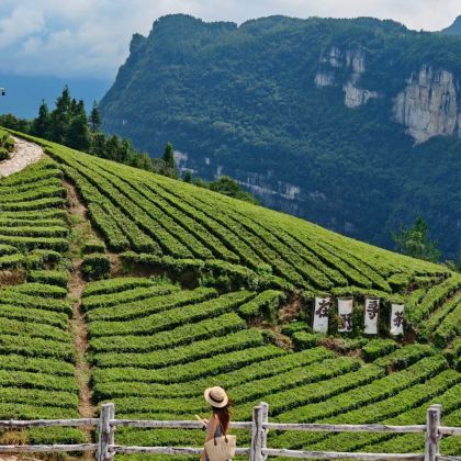 恩施市+宣恩4日3晚私家团