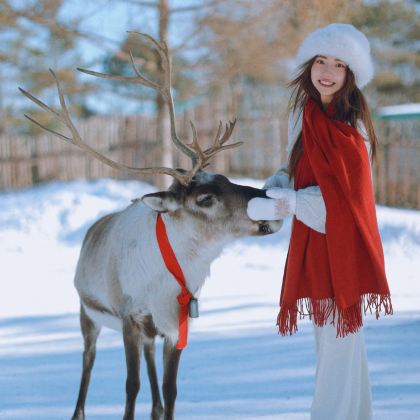 哈尔滨+漠河+北极村+北红村+龙江第一湾风景区5日4晚拼小团