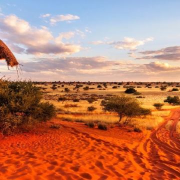 南非+津巴布韦+赞比亚+博茨瓦纳13日11晚自由行