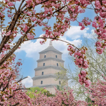 西安6日5晚私家团