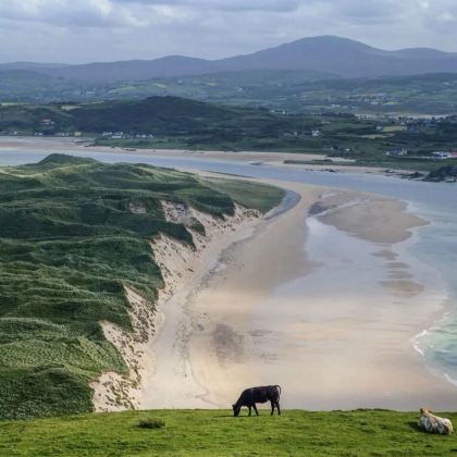 英国+北爱尔兰11日10晚拼小团