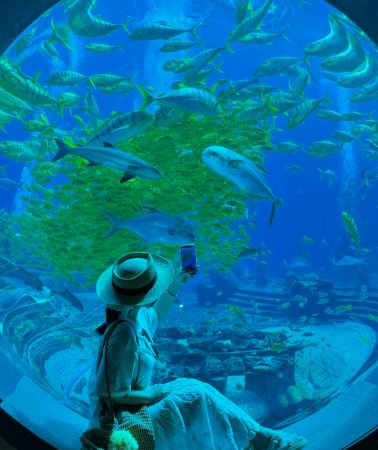 6天5晚 • 海南三亞＋三亞亞特蘭提斯度假區