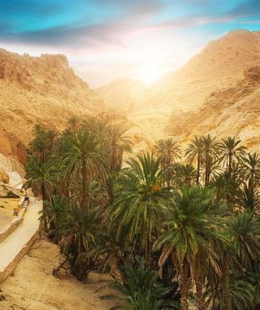 3D2N • From Tunis/Hammamet/Sousse: 3 day desert adventure