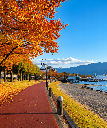 7D6N • Japan Honshu scenic journey with Osaka, Kyoto, Gero Onsen, Shirakawa-go, Mount Fuji and Tokyo highlights
