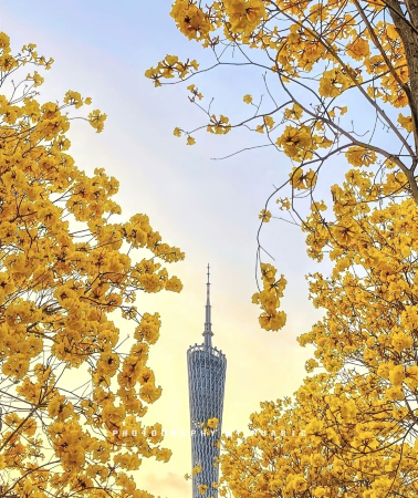 6天5晚 • 「灣區全景遊」廣東廣州＋珠海＋深圳＋惠州巽寮灣＋佛山，一城一景，六日暢玩大灣區精華
