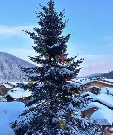 8D7N • Northeast Snow World, Changchun, Harbin, and Yabuli Snow Village: 4-diamond hotel, private tour upgrade for groups of 6, gold local guide, and free 14-piece gift pack