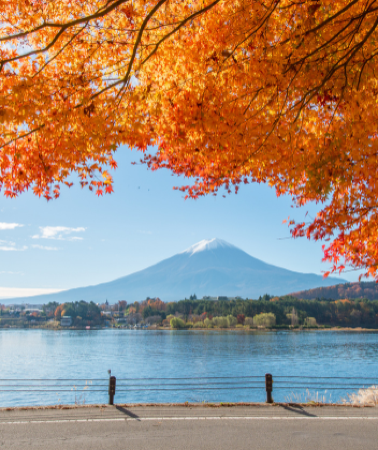 6 วัน 3 คืน • TOKYO FUJI MOMIJI KAIRO AUTUMN โดยสายการบินไทย [TG]