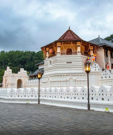 7D6N • 7Day Private Sri Lanka Tour: Sigiriya, Kandy, Ella & Mirissa