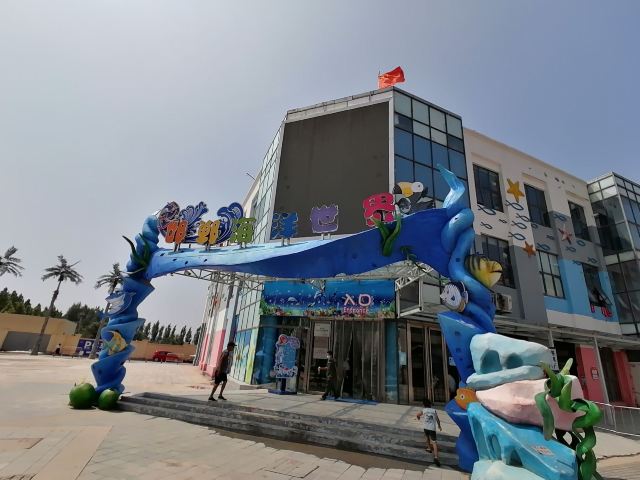 邯郸·海洋世界旅行图片 1
