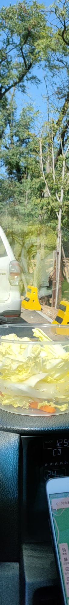 秦皇岛野生动物园-秦皇岛