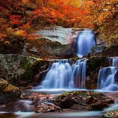 安徽金寨+天堂寨+六安市金寨县马鬃岭风景区+西茶谷农庄+梅山水库风景区4日3晚私家团