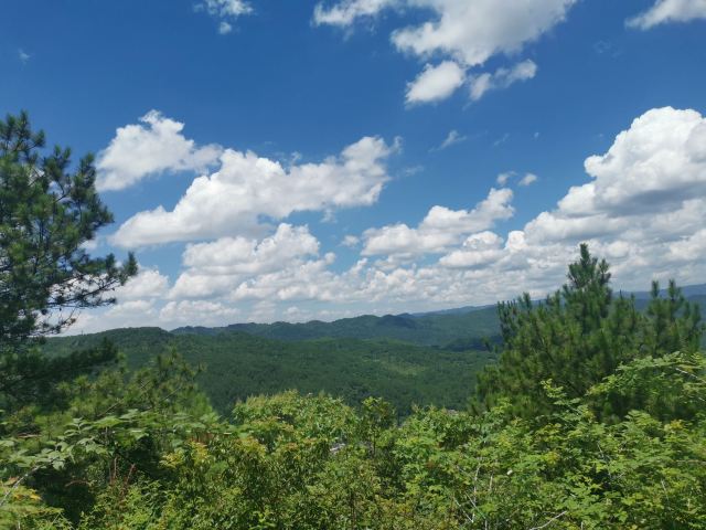 龙里大草原景区旅行图片 4