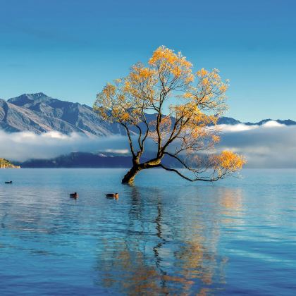 新西兰南岛12日9晚自由行