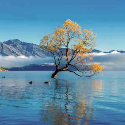 新西兰皇后镇3日2晚拼小团