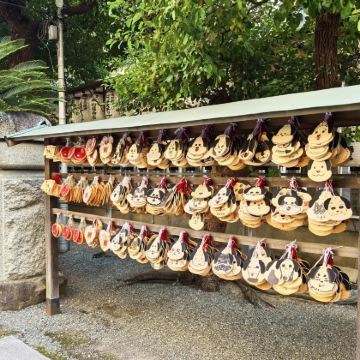 日本6日5晚私家团