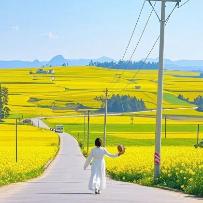 昆明+东川红土地+罗平+弥勒+普者黑风景区+坝美世外桃源景区+河口+元阳+蒙自+建水+抚仙湖11日10晚私家团