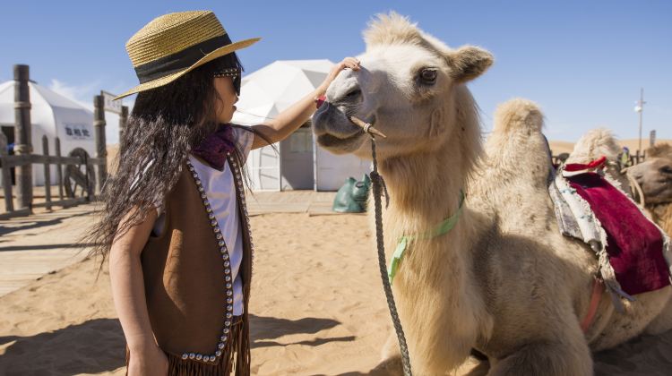 5D4N · Group Tours · Inner Mongolia + Hohhot + Huitengxile Grassland + Whistling Dune Bay + The Mausoleum of Genghis Khan