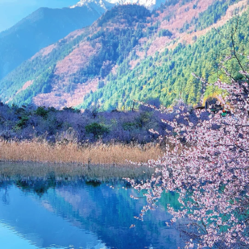 成都+九寨沟+黄龙风景名胜区5日4晚私家团