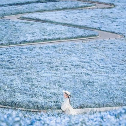 日本东京+仙台+日光市7日6晚私家团