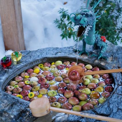 青森县6日5晚私家团
