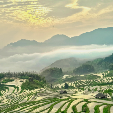 丽水3日2晚跟团游