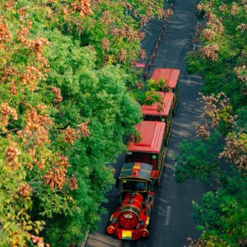 长沙+凤凰古城3日2晚私家团
