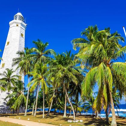 斯里兰卡科伦坡9日7晚私家团