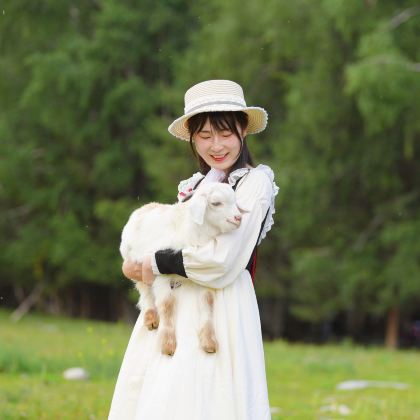 新疆北疆+乌鲁木齐+禾木风景区+喀纳斯景区+赛里木湖10日9晚拼小团