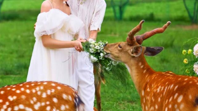 神農架、宜昌+4