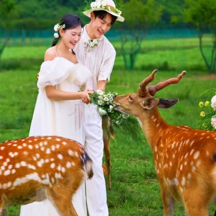 神农架+长江三峡+恩施市8日7晚跟团游