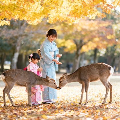 日本大阪+京都7日6晚私家团